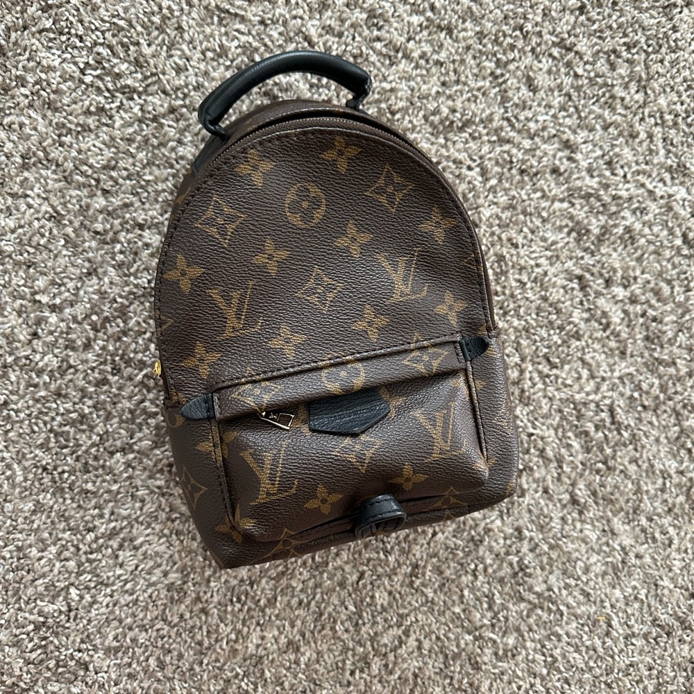 Louis Vuitton Palm Springs Mini
